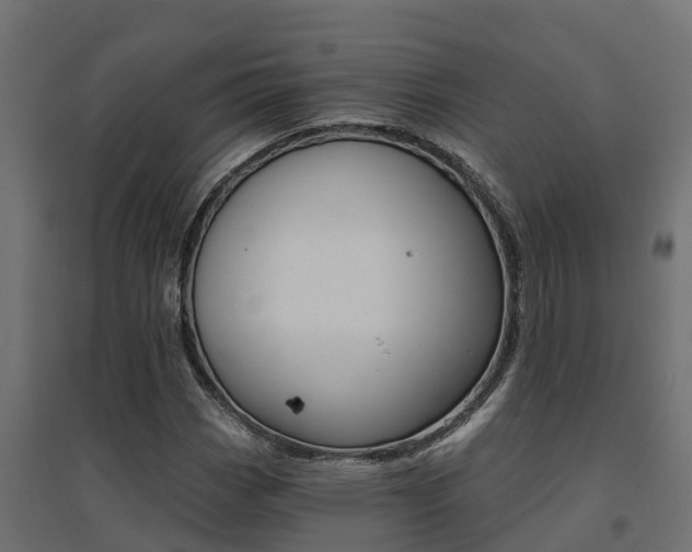 X0000094901113200711291016