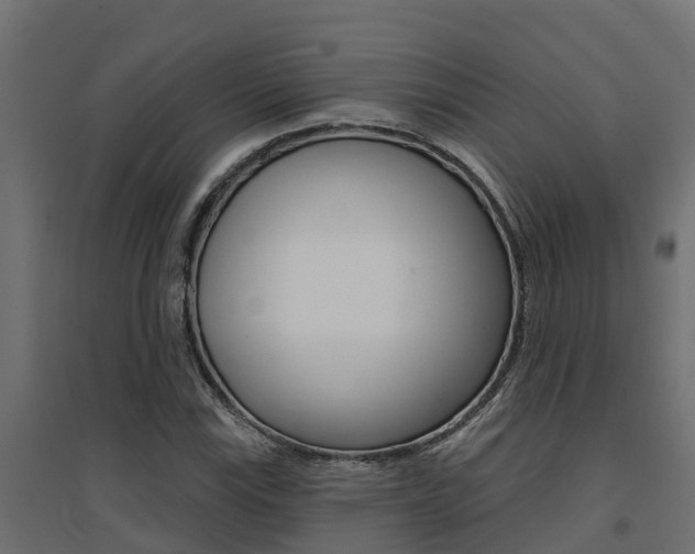 X0000094901115200711291016