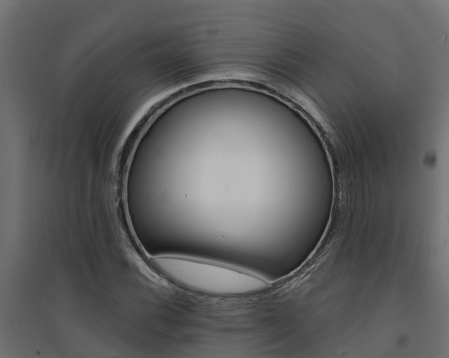 X0000094901116200711291016