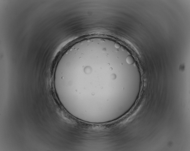 X0000094901117200711291016