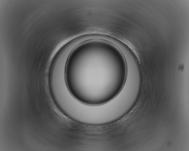 X0000094901120200711291016
