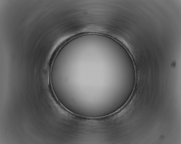 X0000094901123200711291016