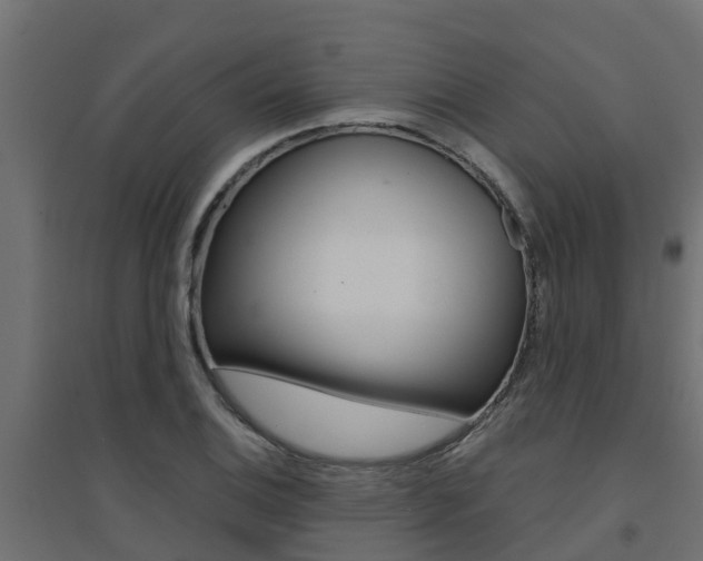 X0000094901124200711291016