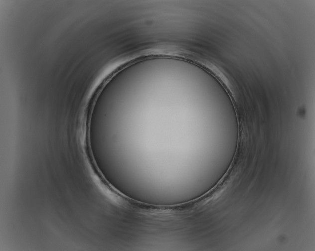 X0000094901131200711291016