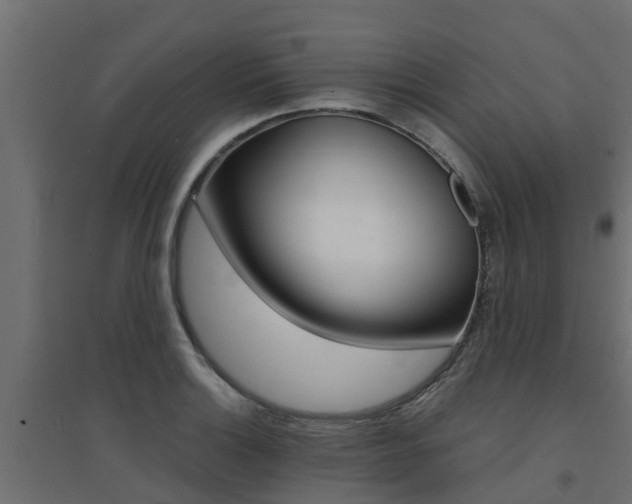 X0000094901132200711291016