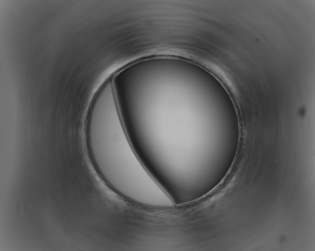 X0000094901133200711291016