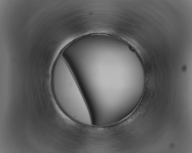 X0000094901135200711291016