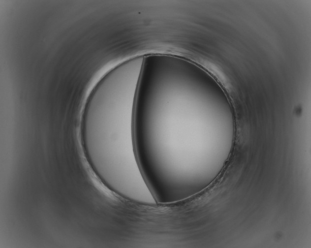 X0000094901136200711291016