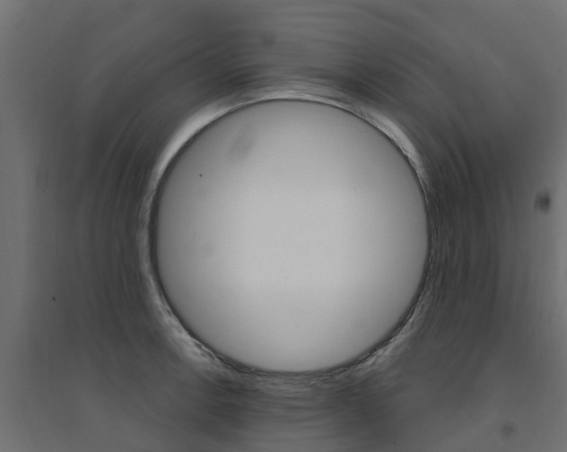 X0000094901138200711291016