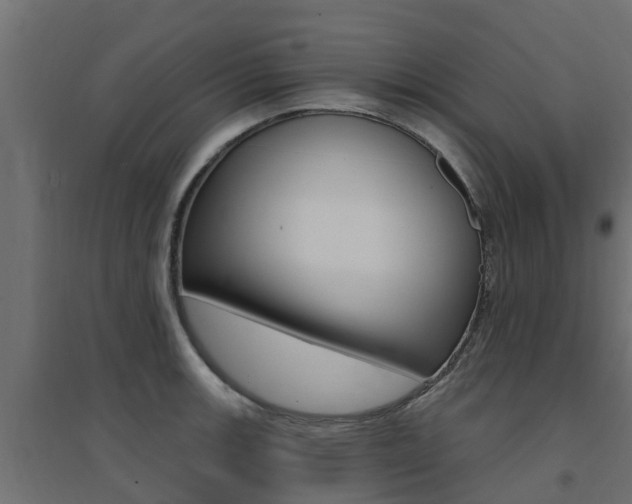 X0000094901139200711291016