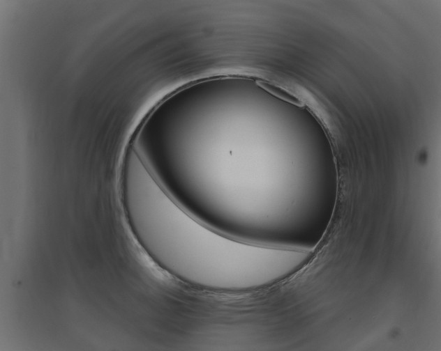X0000094901140200711291016