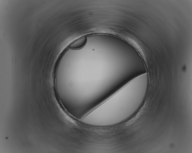 X0000094901141200711291017