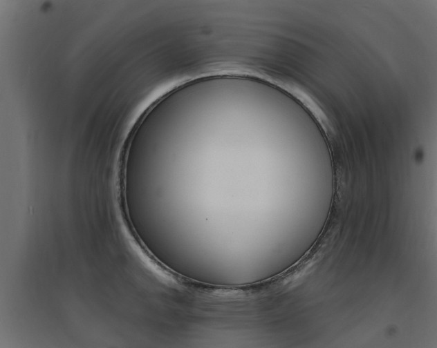 X0000094901142200711291017