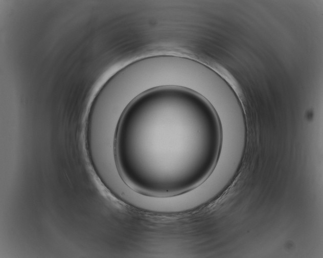 X0000094901144200711291017