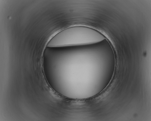 X0000094901145200711291017