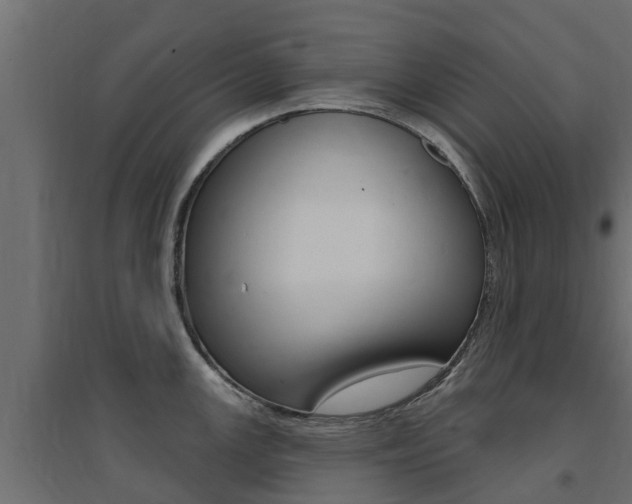 X0000094901147200711291017