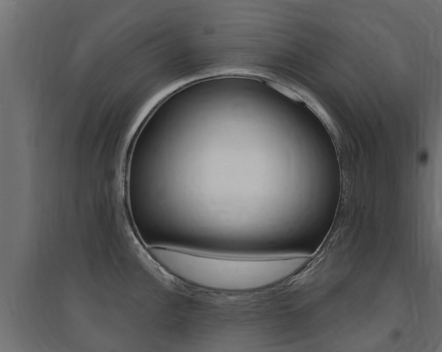 X0000094901148200711291017
