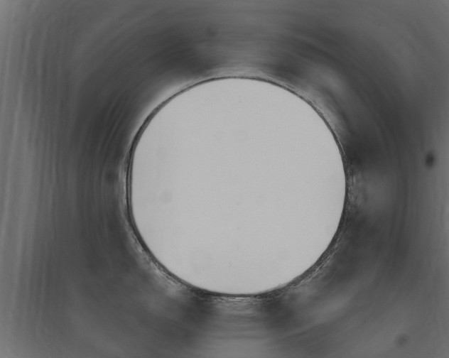 X0000094901150200711291017