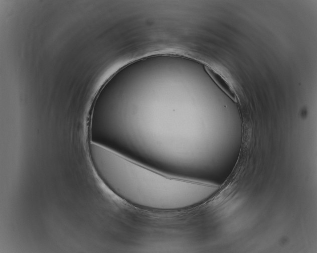 X0000094901151200711291017