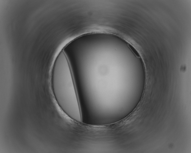 X0000094901152200711291017