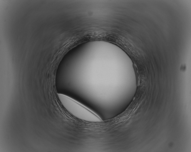X0000094901153200711291016