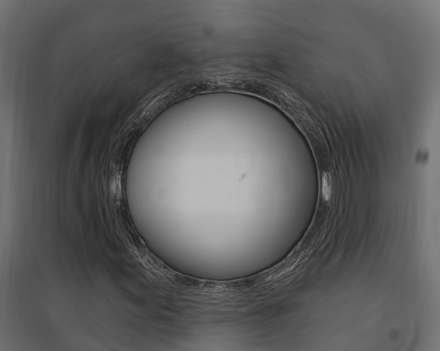X0000094901155200711291016