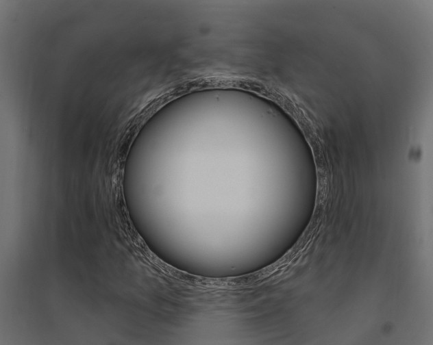 X0000094901157200711291016