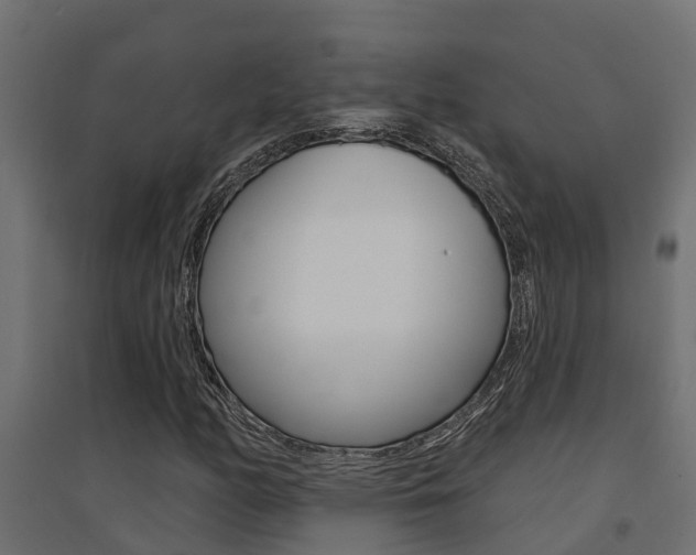 X0000094901158200711291016