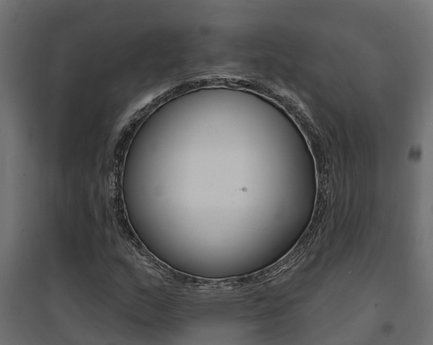 X0000094901159200711291016