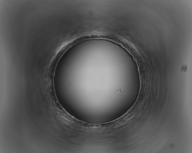 X0000094901160200711291016