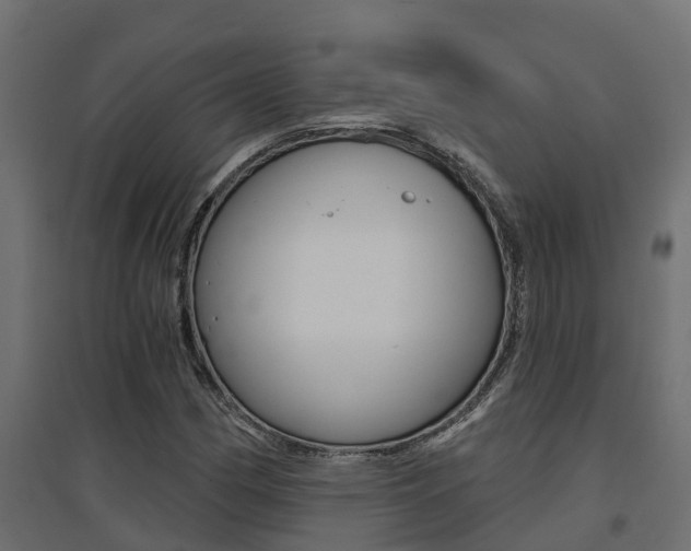 X0000094901162200711291016