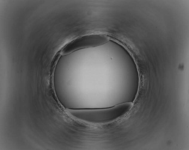 X0000094901165200711291016