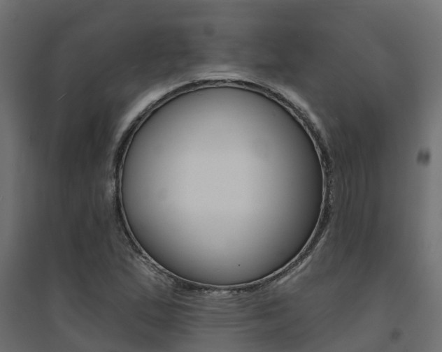 X0000094901167200711291016