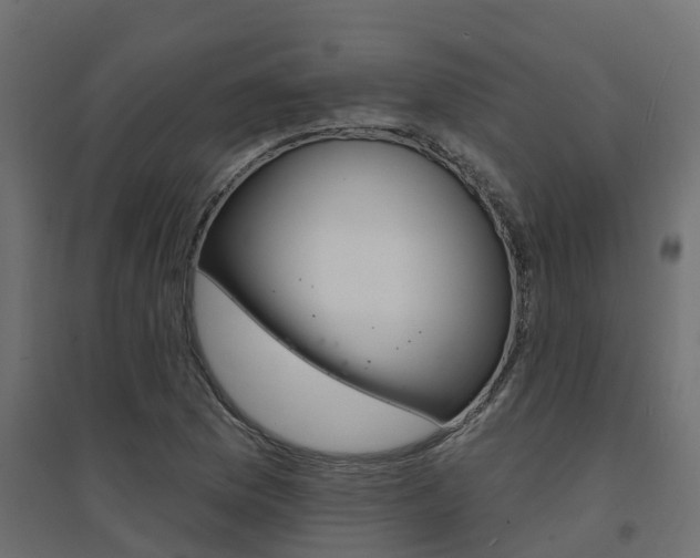 X0000094901169200711291016
