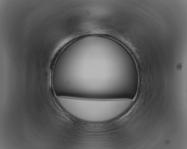 X0000094901171200711291015