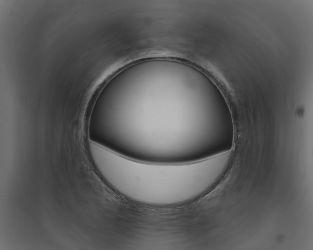 X0000094901173200711291015