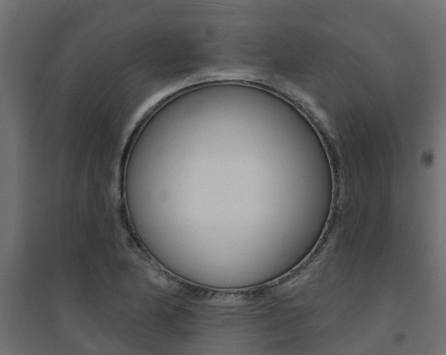 X0000094901174200711291015