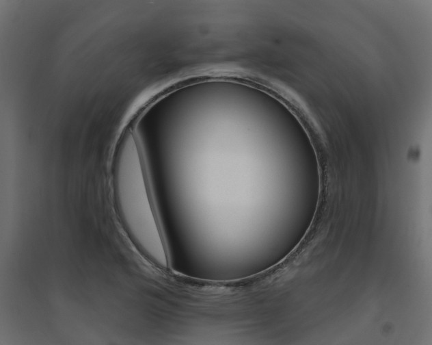 X0000094901176200711291015