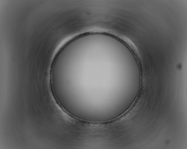 X0000094901183200711291015