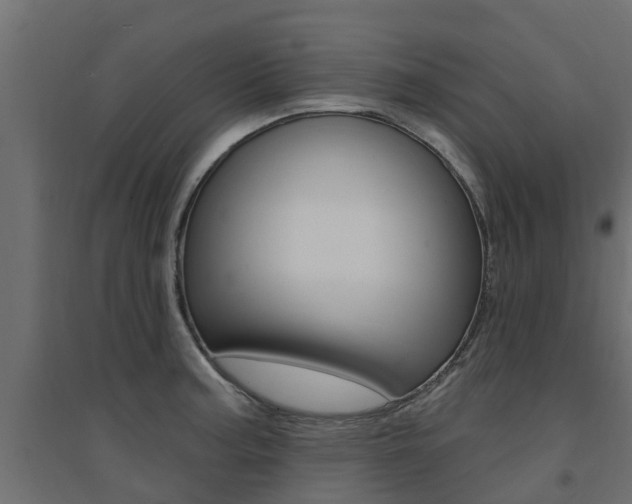 X0000094901187200711291015