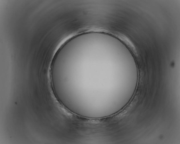 X0000094901190200711291015
