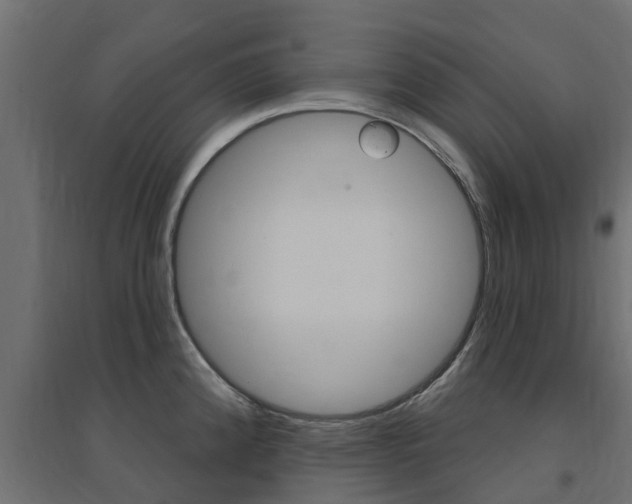 X0000094901192200711291015