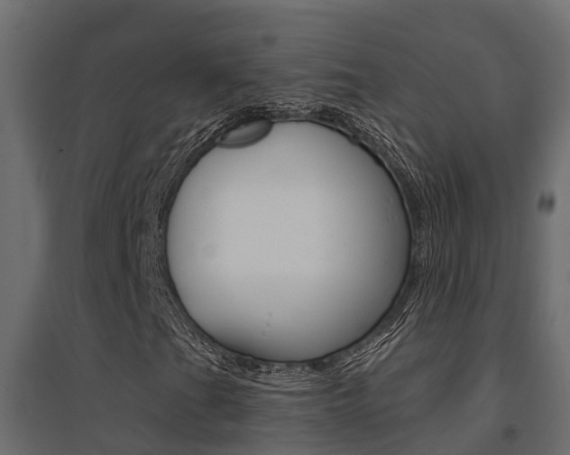 X0000094901201200711291014