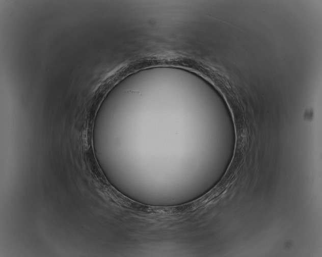 X0000094901205200711291014