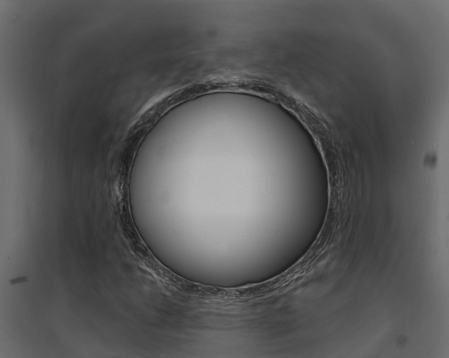 X0000094901206200711291014