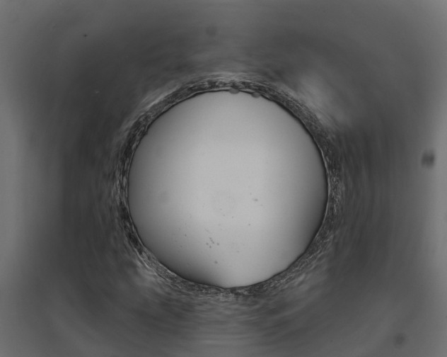 X0000094901207200711291014