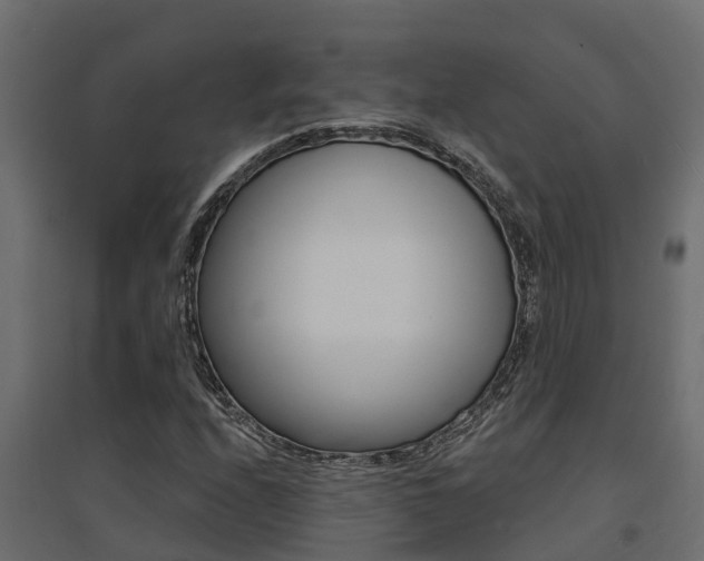 X0000094901208200711291014