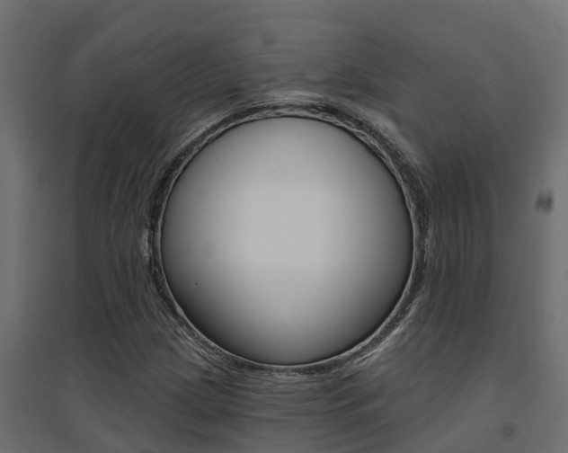 X0000094901209200711291014