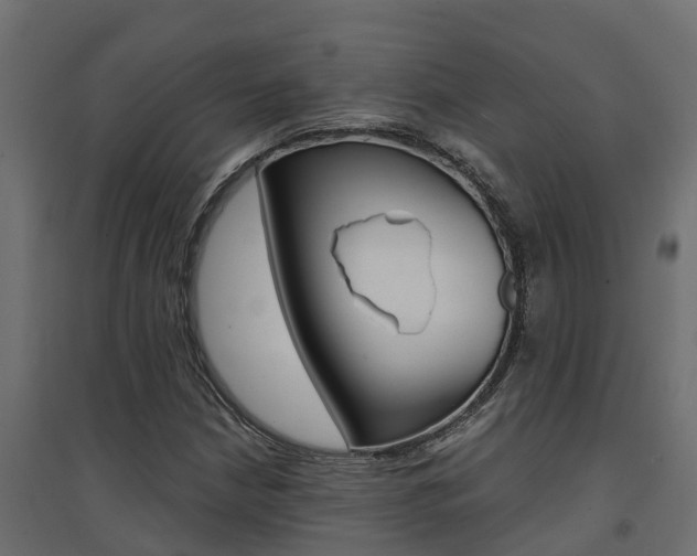 X0000094901210200711291014