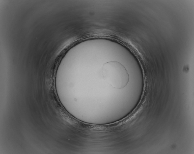 X0000094901211200711291014